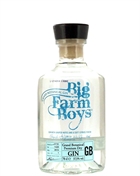 Flaska Big Farm Boys Grand Botanical Premium Dry Gin från Danmark