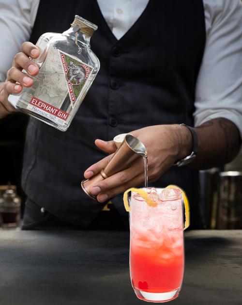 Har du provat Sloe Fizz Cocktail med Elephant Gin ?