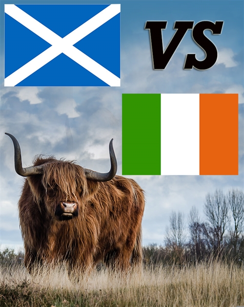 Vet du skillnaden mellan skotsk whisky och irländsk whisky?