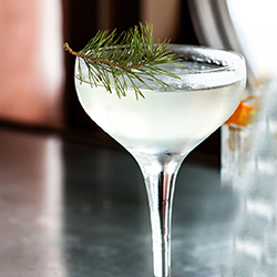 Torr Martini Cocktail